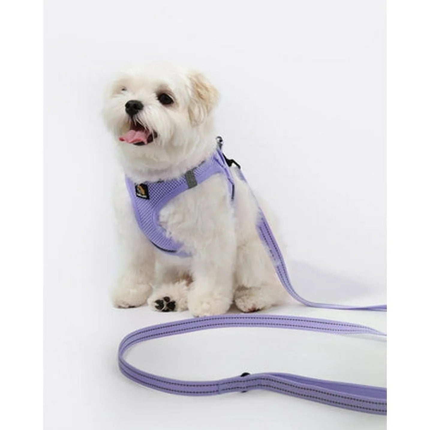 Puppy Harness & Leash Set – Reflective Adjustable Step-In Dog Harness for Small Dogs, Purple Lavender, XS