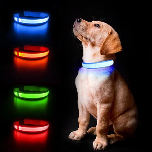 Waterproof, Luminous, Glow-in-the-Dark Collar for Nighttime Pet Visibility