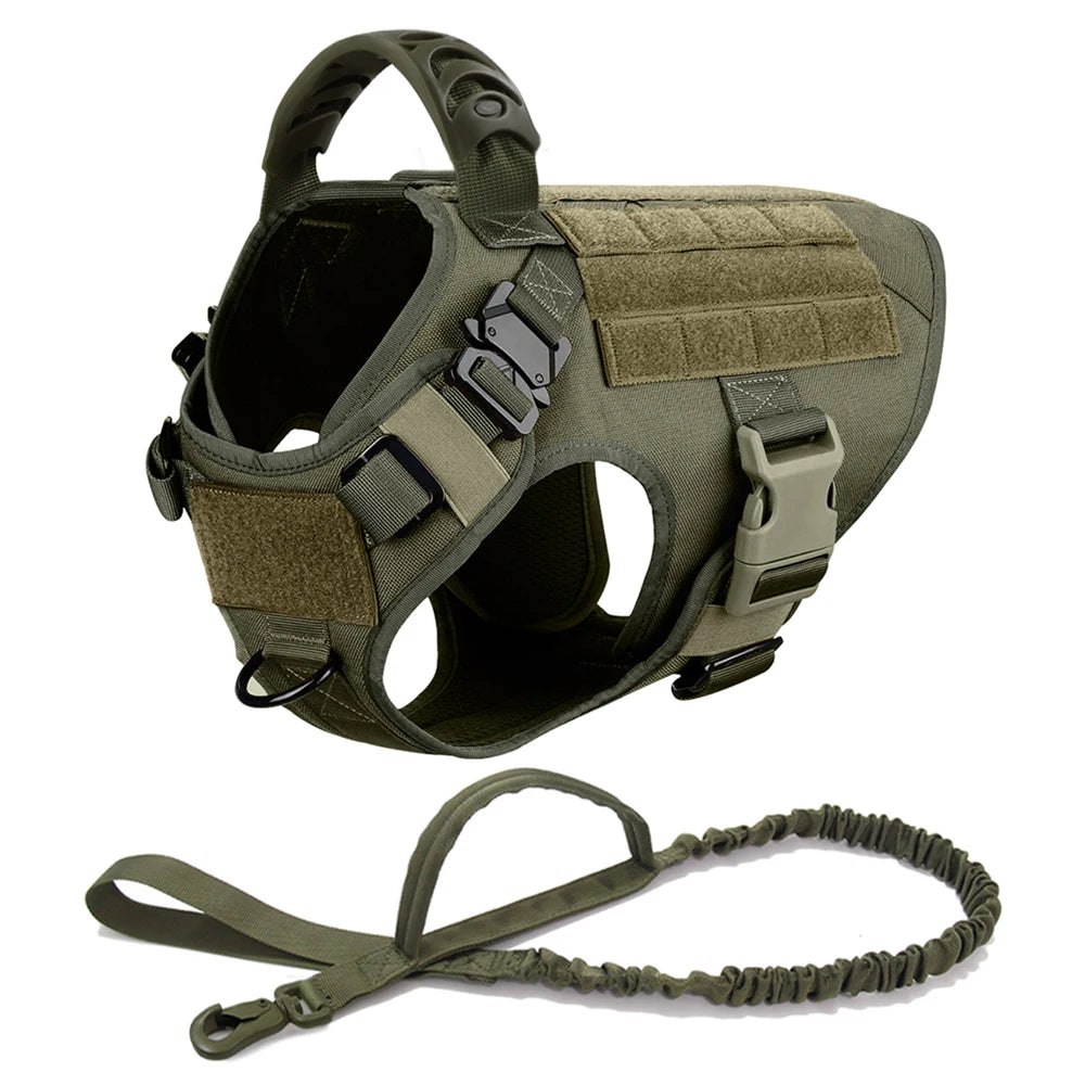 Large Pet Harness And Leash Set