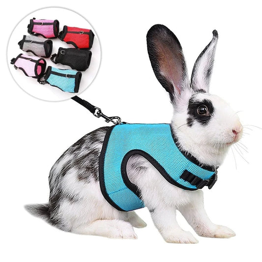 Mutil-Colors Breathable and Adjustable Soft Harness  with Elastic Leash Set