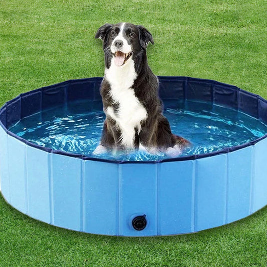 Portable Dog Swimming Pool & Bathing Tub – Foldable Plastic Pet Pool with Scratch-Resistant Material, Grooming Tub & Cover for Large Dogs