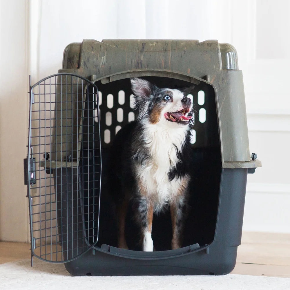 Large Plastic Dog Kennel – Portable Outdoor & Indoor Pet Carrier Crate with 360° Ventilation | Suitable for Dogs 70-90 lbs