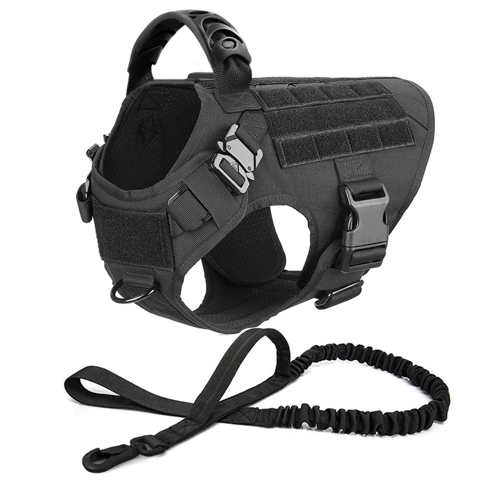 Large Pet Harness And Leash Set