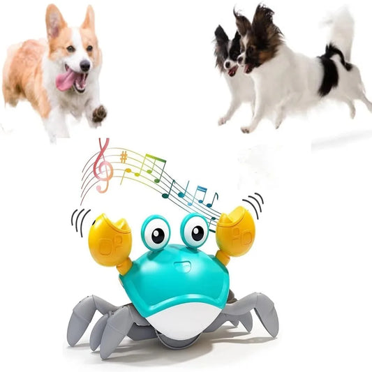 Interactive Dancing Crab Toy for Dogs & Cats – Musical, Moving Pet Toy with Lights & Sounds for Play and Stimulation