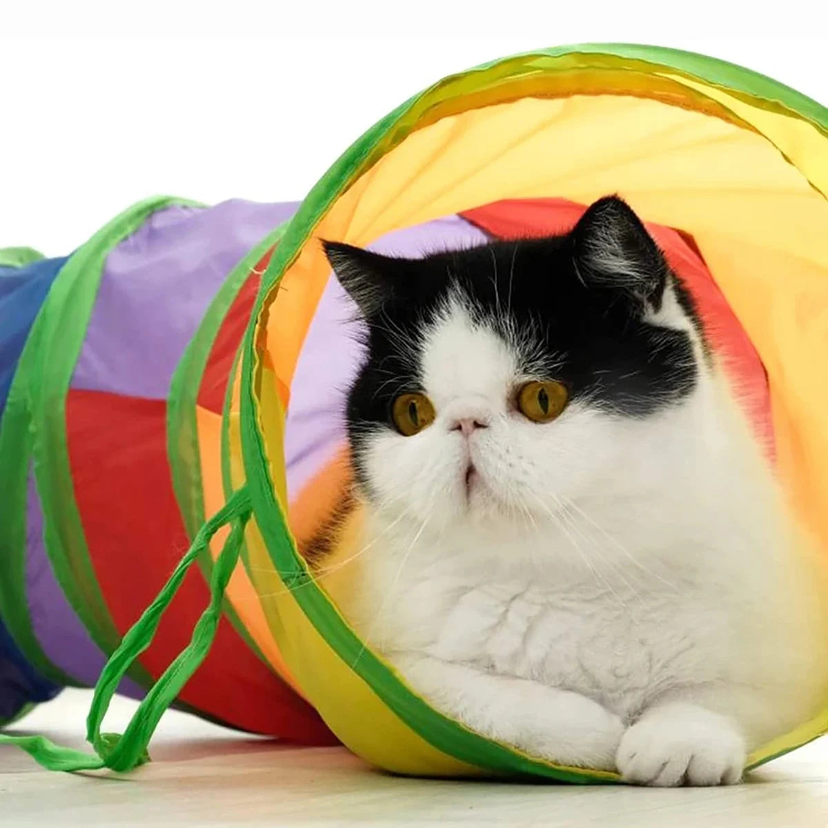 Foldable Interactive Pet Tunnel Toy - Fun, Engaging and Space-Saving Playtime