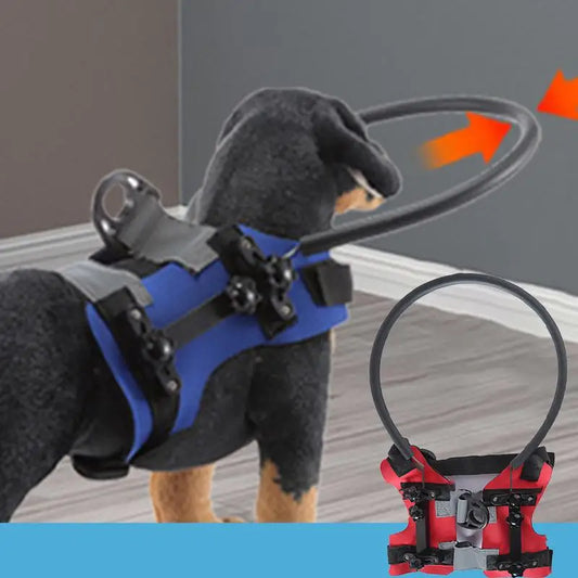 Blind Dog Harness with Bumper Ring – Lightweight Adjustable Guiding Device for Visually Impaired Pets – Safe & Comfortable Blind Dog Accessory
