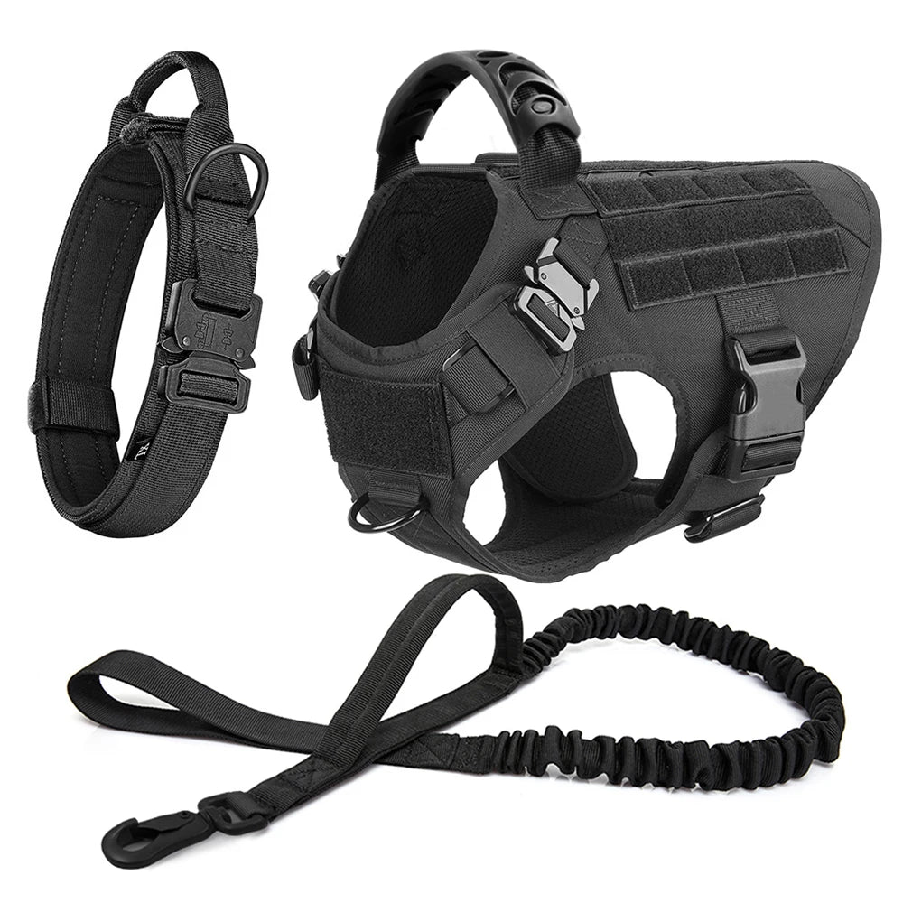 Large Pet Harness And Leash Set
