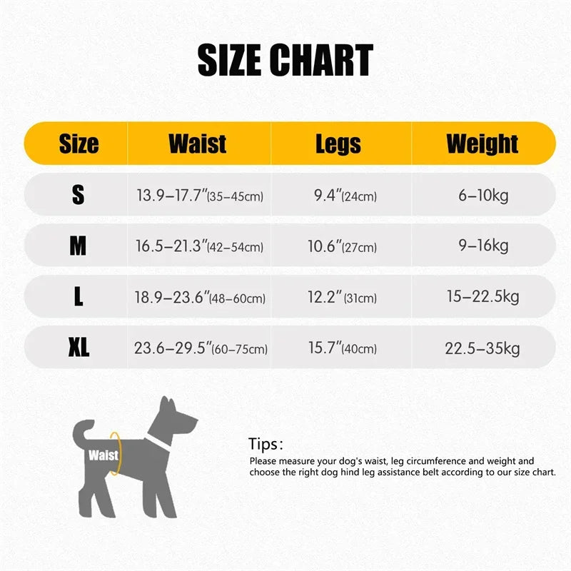 Adjustable Dog Lift Harness for Large Dogs – Soft Padded Rear Leg Support for Senior, Disabled, and Injured Dogs
