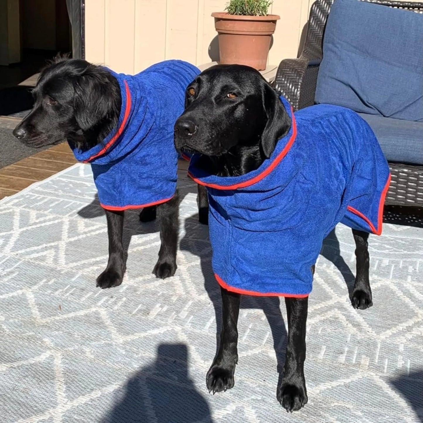 Super Absorbent Microfiber Pet Towel / Robe - Adjustable Collar & Belly Strap