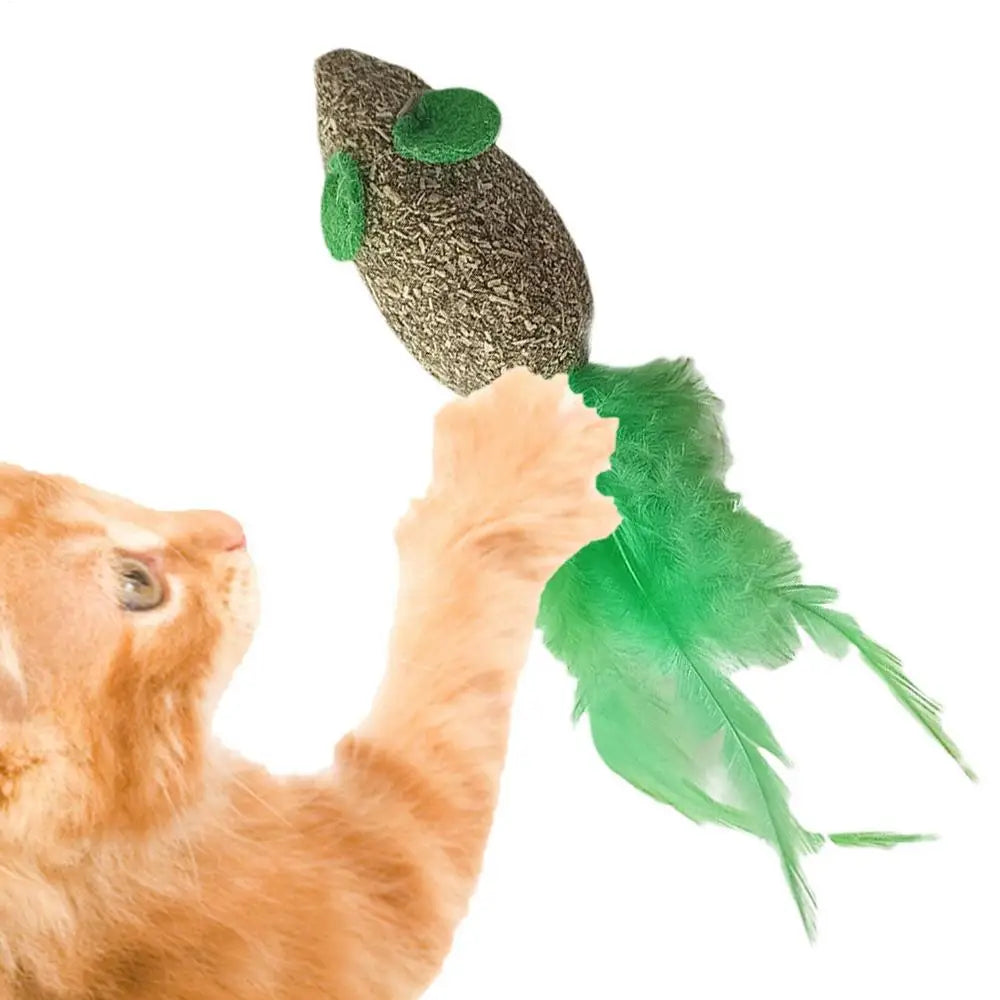 Catnip Edible Catnip Ball Toy