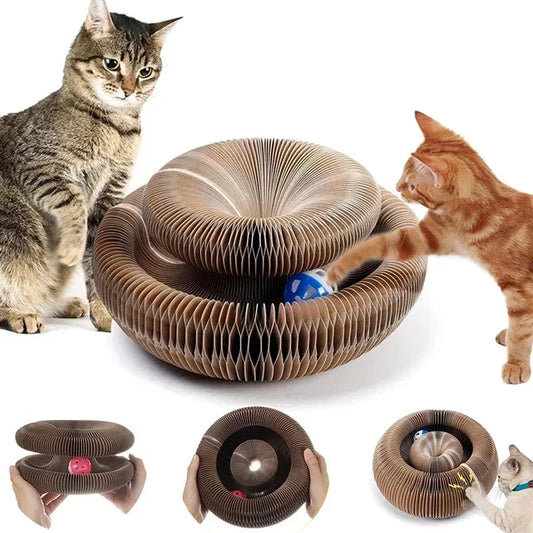 Organ cat scratching cat toy with bell