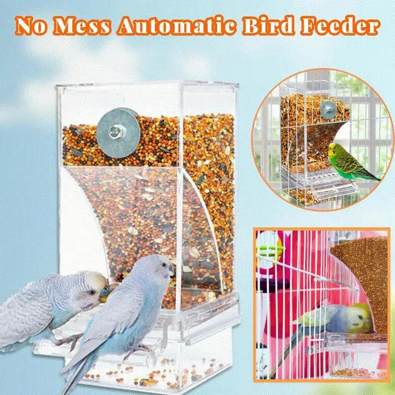 No-Mess Automatic Parrot Food Feeder – Clear Acrylic Bird Seed Container for Small & Medium Parakeets, Cage-Mounted Bird Feeding Accessory