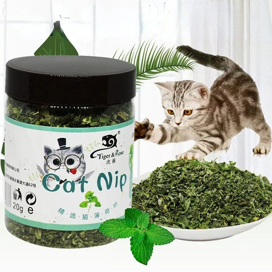 Organic Catnip Toy – 100% Natural Cattle Grass Mint Flavor, Interactive Funny Cat Toy for Play & Relaxation