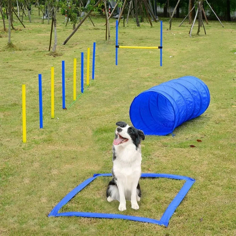 PAWISE Dog Agility Training Equipment – Obstacle Course Kit with Jumping Hurdle & Agility Tunnel