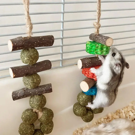 Wooden Chew Toys for Guinea Pigs – Natural Teething & Oral Care Toy for Hamsters, Hedgehogs, Degus, and Small Pets