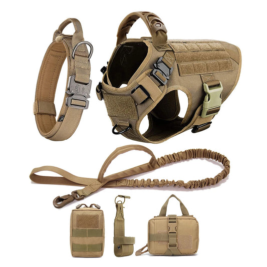 Large Pet Harness And Leash Set