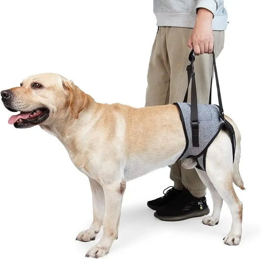Dog Leg Support Harness β Rehabilitation & Mobility Aid for Injured or Post-Surgery Dogs