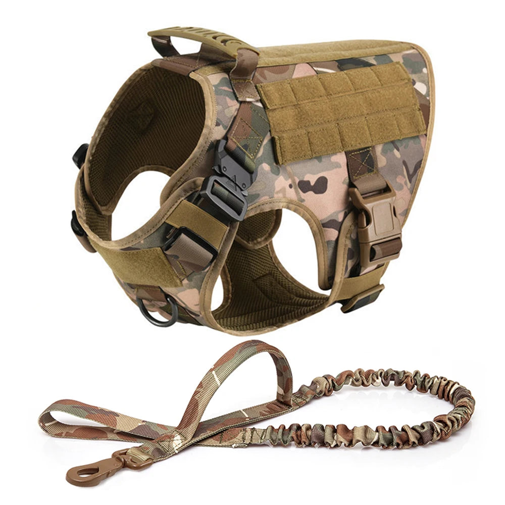 Large Pet Harness And Leash Set