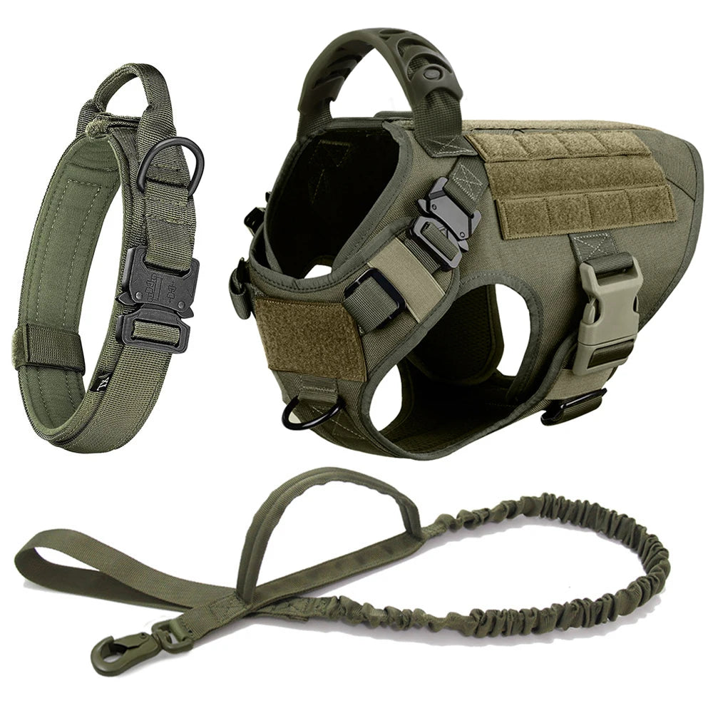 Large Pet Harness And Leash Set