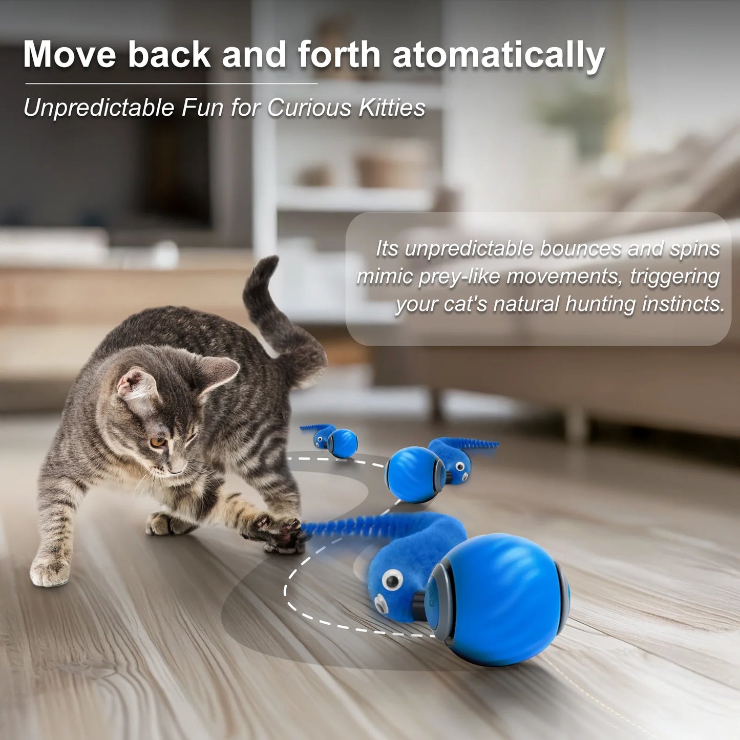 Inadays Smart Interactive Cat Toy Ball – Rechargeable Indoor Cat Toy with Two-Speed Settings, Blue