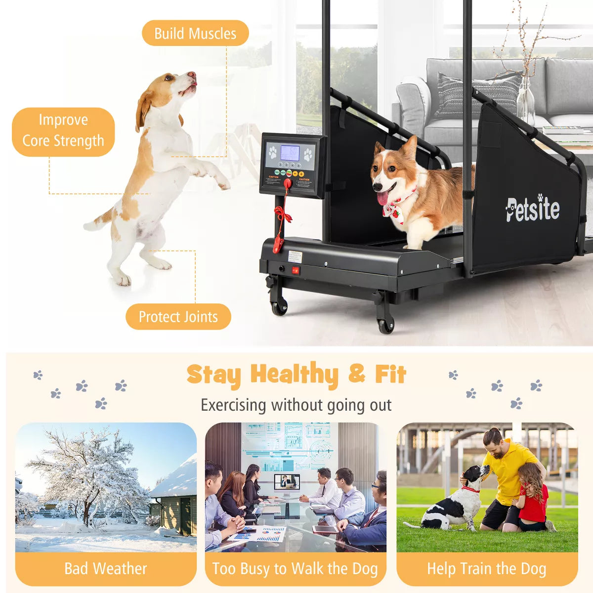 Costway Dog Treadmill – Indoor Running & Training Machine for Small to Medium Dogs