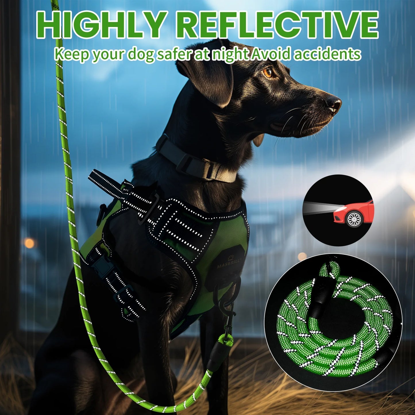 Dog Harness & Leash Set – No-Pull Reflective Adjustable Padded Vest Harness with Handle for Small to Large Dogs