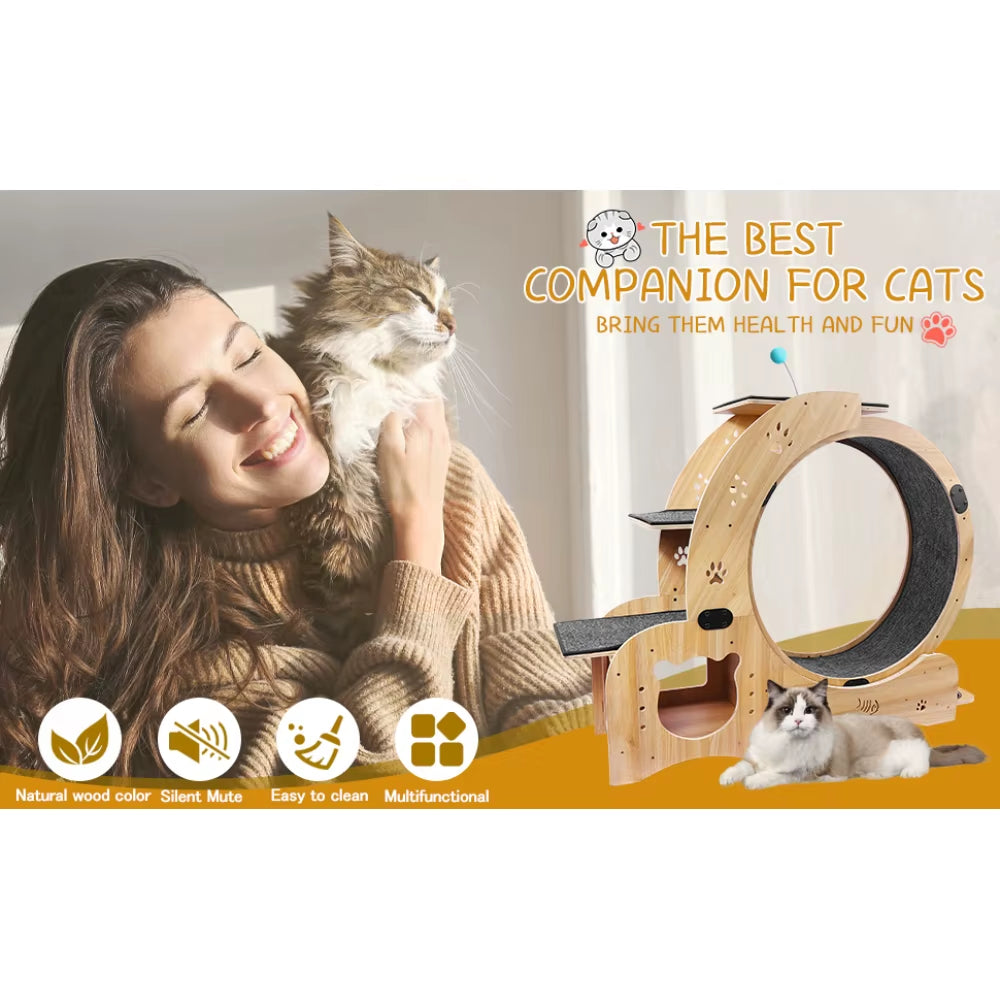 6-in-1 Cat Exercise Wheel – Upgraded Large Indoor Cat Treadmill & Running Wheel