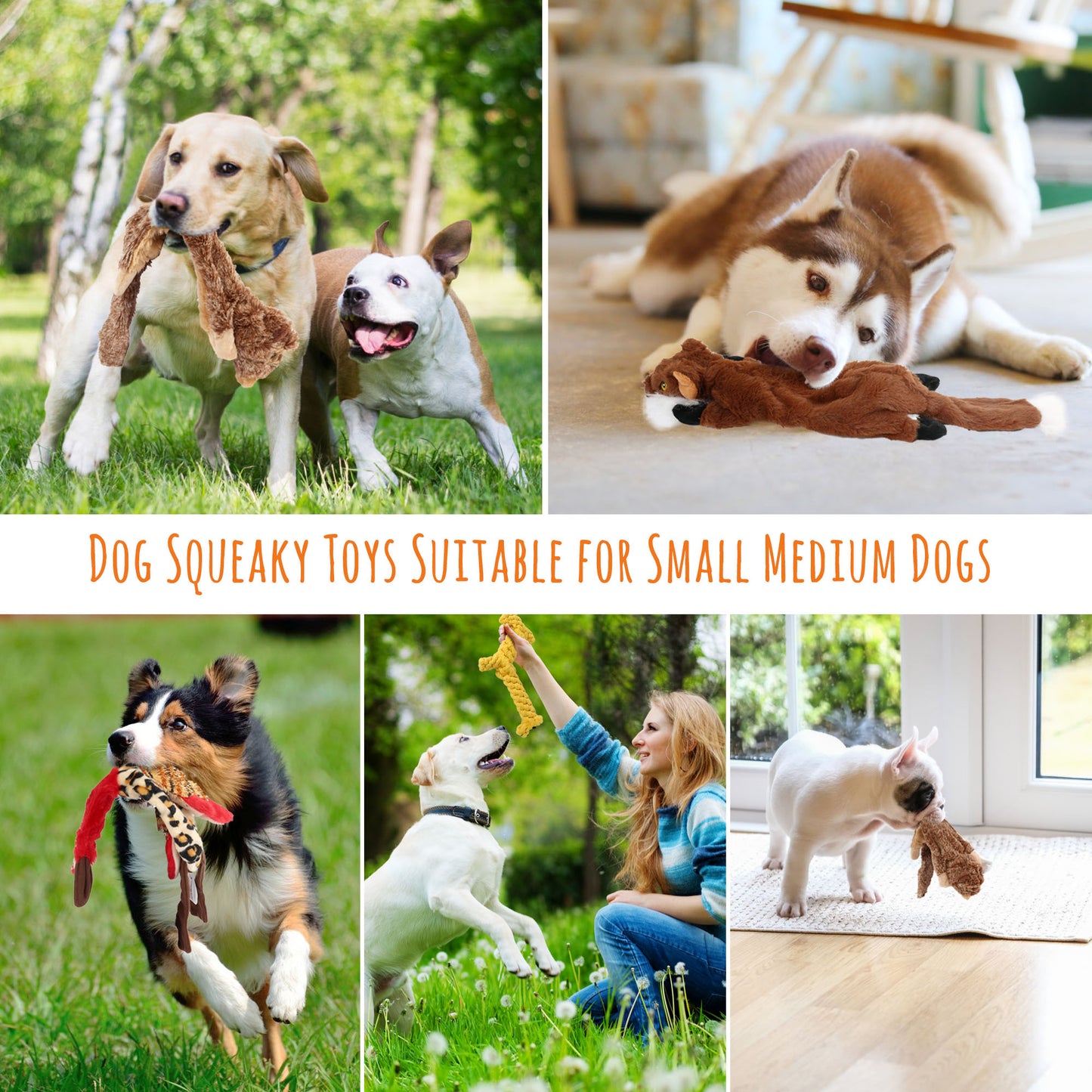 5-Pack Squeaky Dog Toys – No-Stuffing Chew Toys for Small Dogs