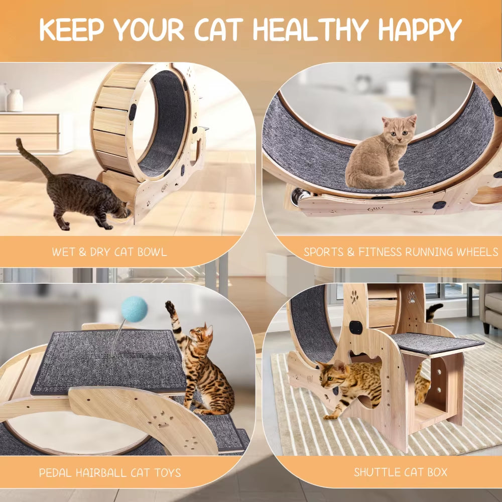 6-in-1 Cat Exercise Wheel – Upgraded Large Indoor Cat Treadmill & Running Wheel