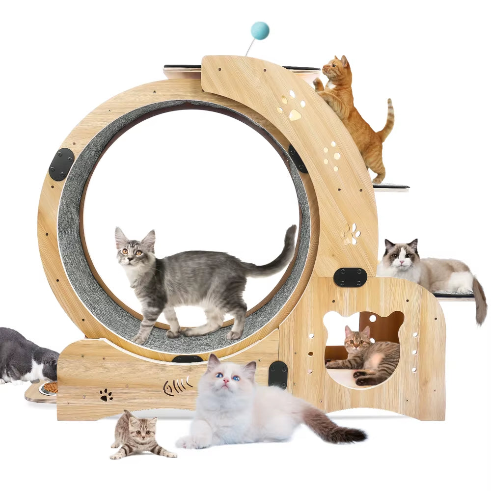 6-in-1 Cat Exercise Wheel – Upgraded Large Indoor Cat Treadmill & Running Wheel