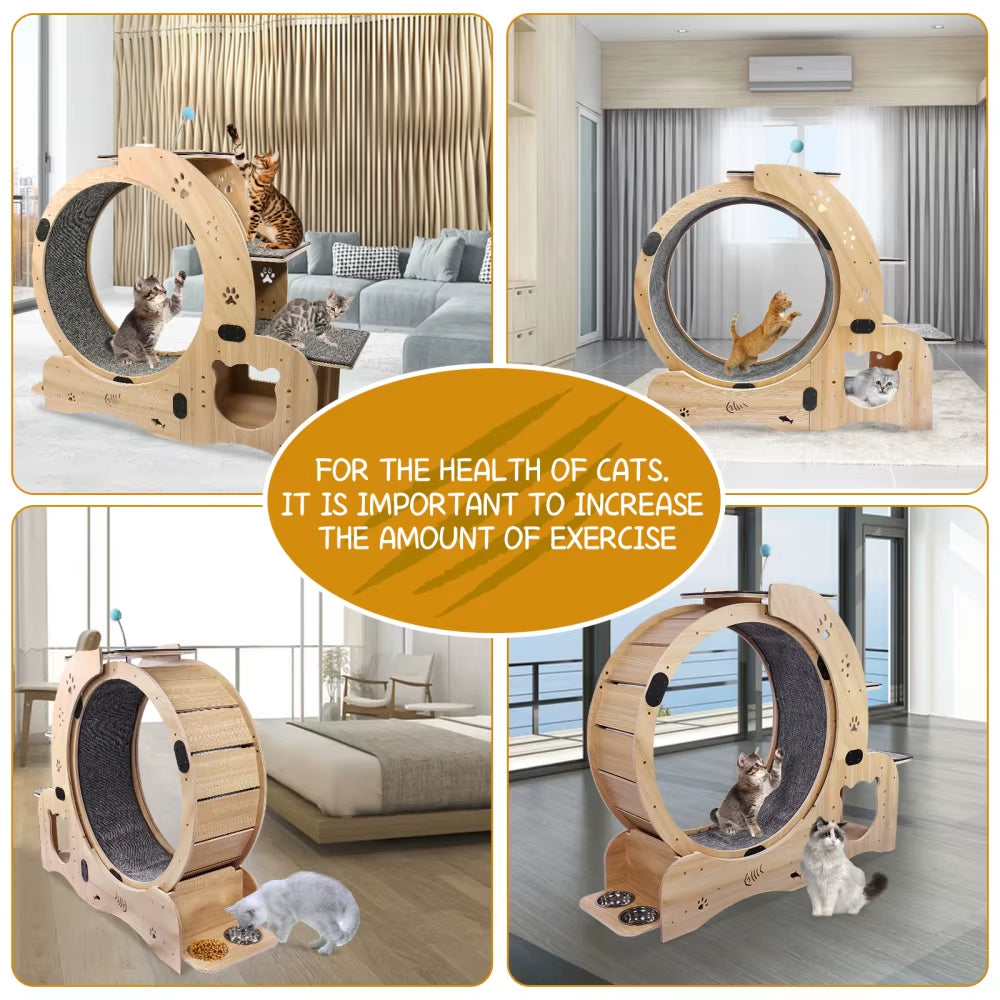 6-in-1 Cat Exercise Wheel – Upgraded Large Indoor Cat Treadmill & Running Wheel