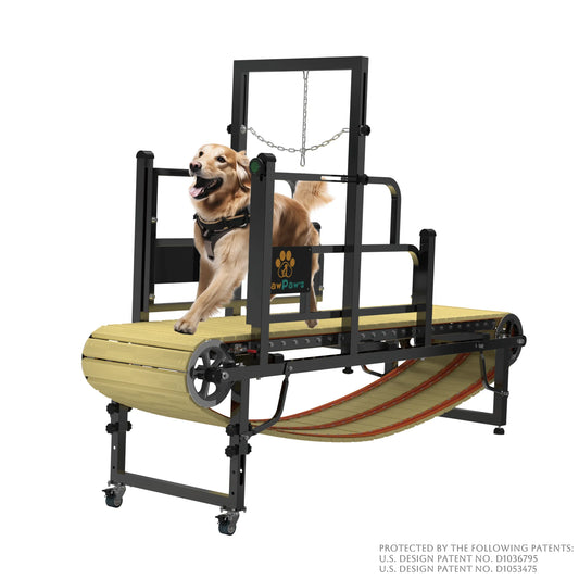 Dog Treadmill for Large & Medium Dogs – Indoor/Outdoor Slatmill for Dogs up to 220 lbs
