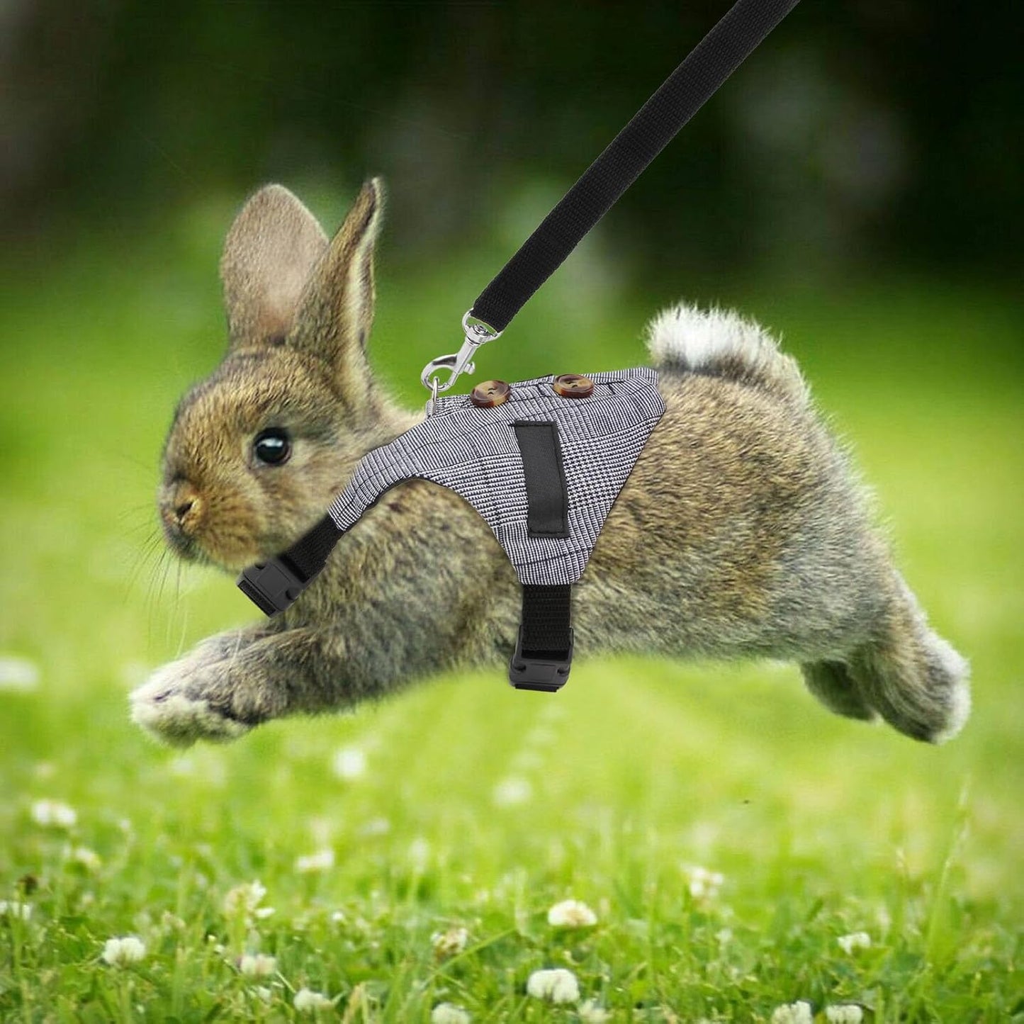 Rabbit Vest Harness & Leash Set – Adjustable Formal Suit Style for Bunnies, Kittens & Small Animals (Small)