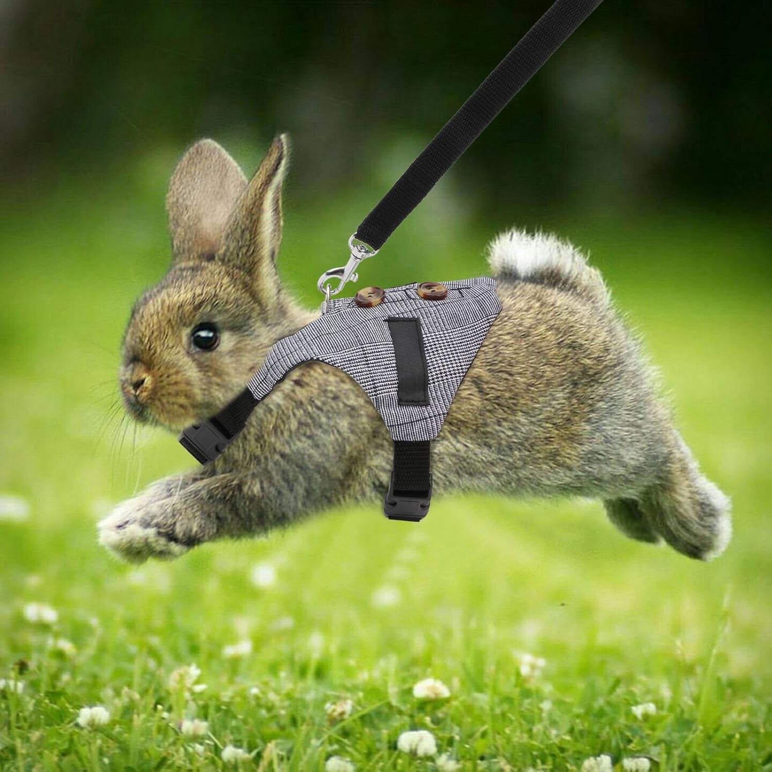 Rabbit Vest Harness & Leash Set – Adjustable Formal Suit Style for Bunnies, Kittens & Small Animals (Small)