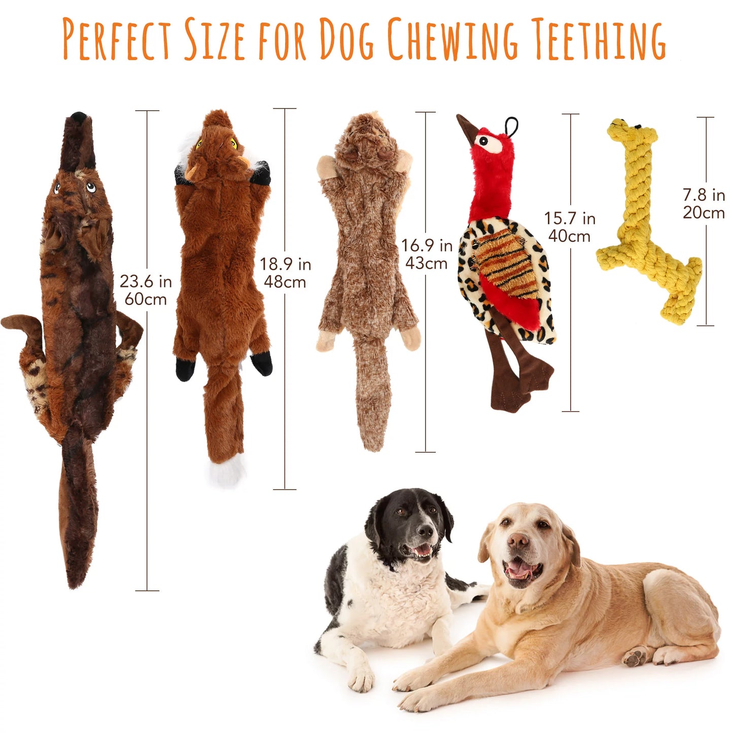 5-Pack Squeaky Dog Toys – No-Stuffing Chew Toys for Small Dogs