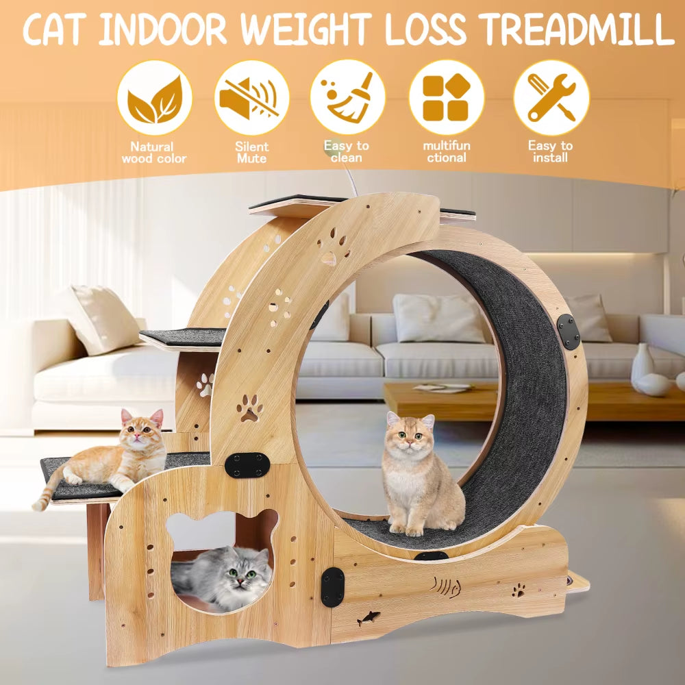 6-in-1 Cat Exercise Wheel – Upgraded Large Indoor Cat Treadmill & Running Wheel