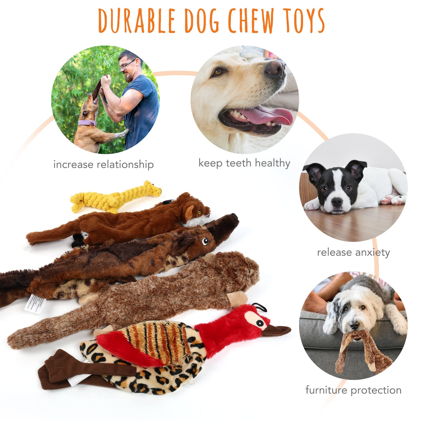 5-Pack Squeaky Dog Toys – No-Stuffing Chew Toys for Small Dogs