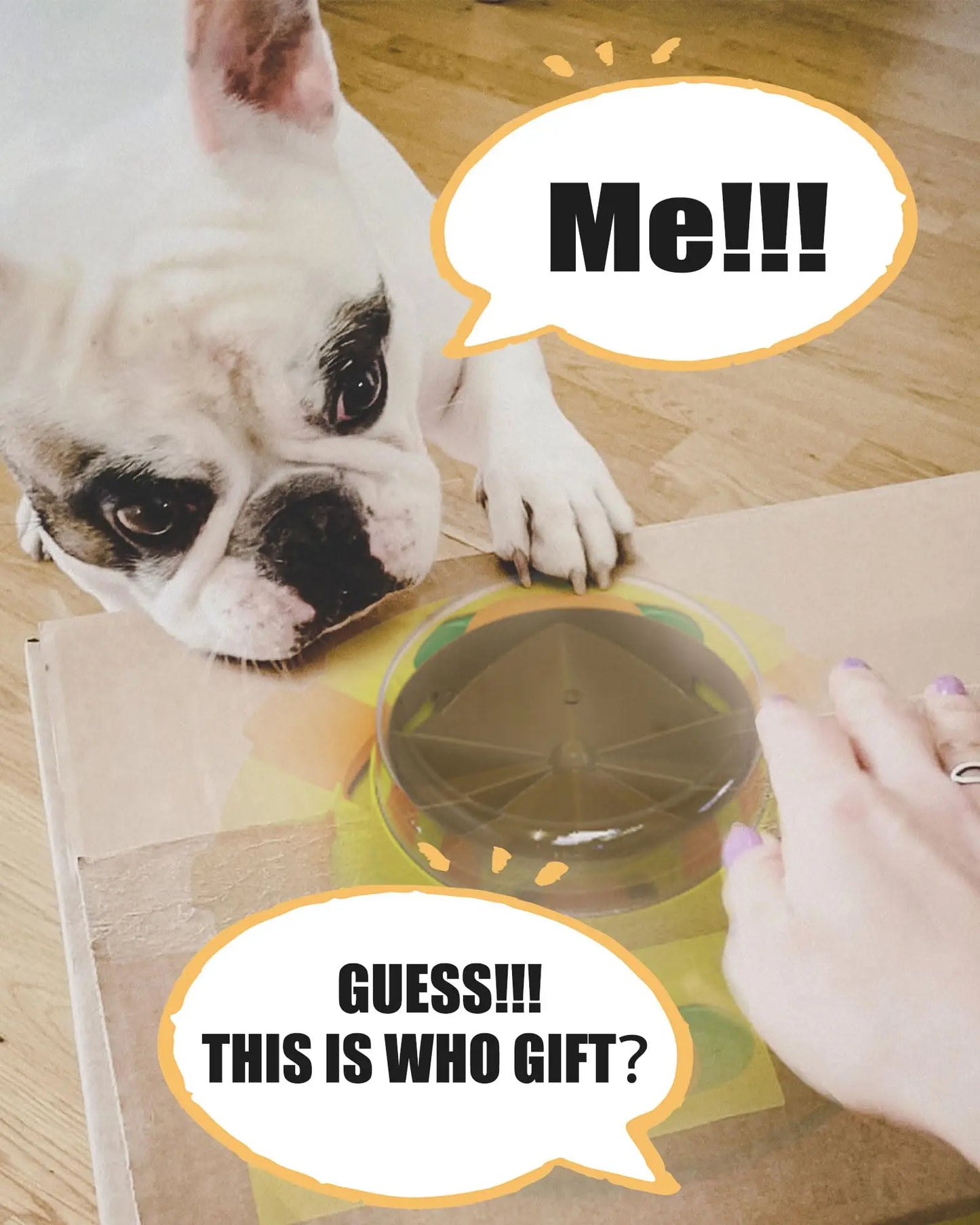 Interactive Puzzle Toy for Dogs – Enrichment Slow Feeder & Treat Dispenser for All Breeds