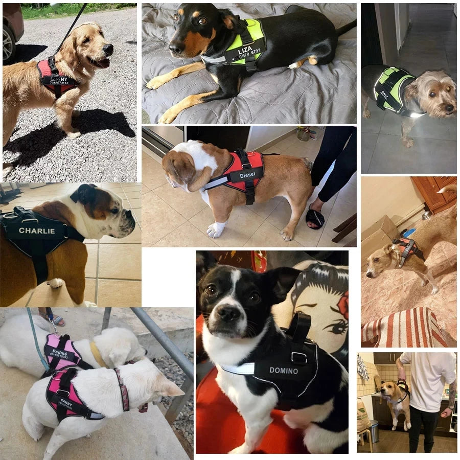 NO PULL Reflective Breathable Adjustable Pet Harness