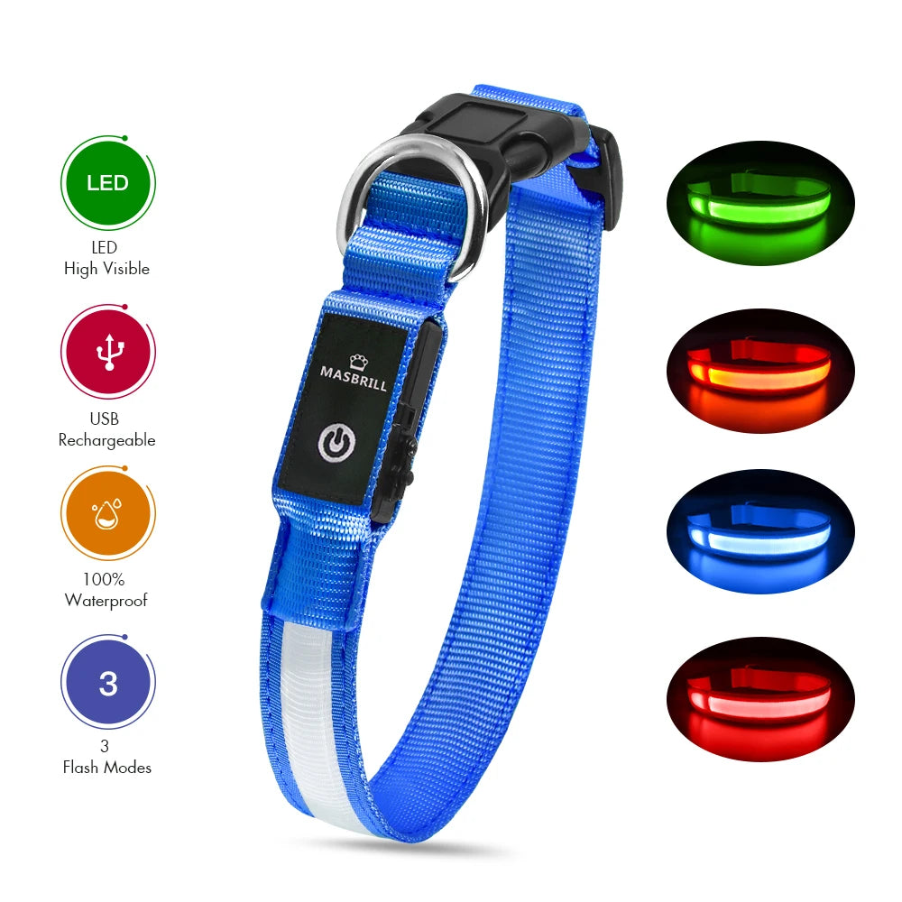 Waterproof, Luminous, Glow-in-the-Dark Collar for Nighttime Pet Visibility
