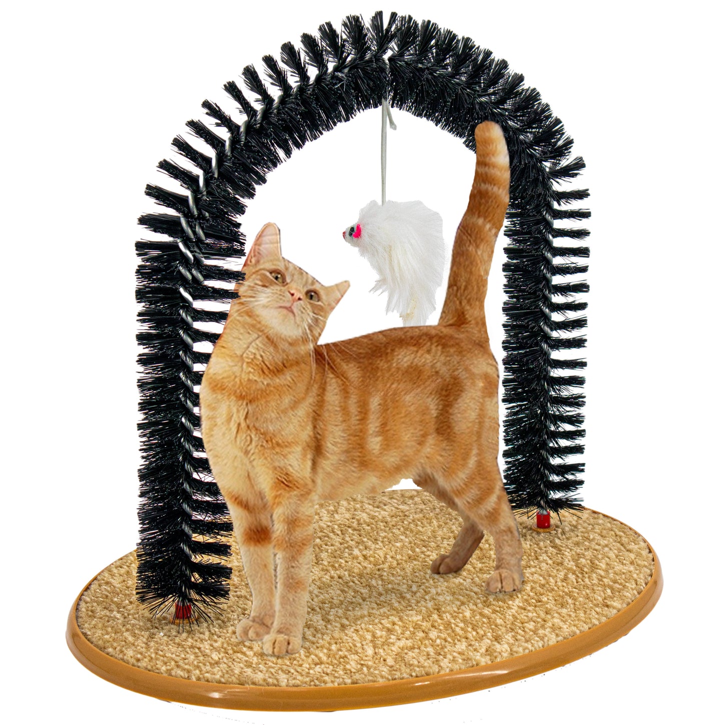 Cat Self-Grooming Arch Toy & Post – Interactive Scratcher with Bristles, Catnip, and Mouse Toy