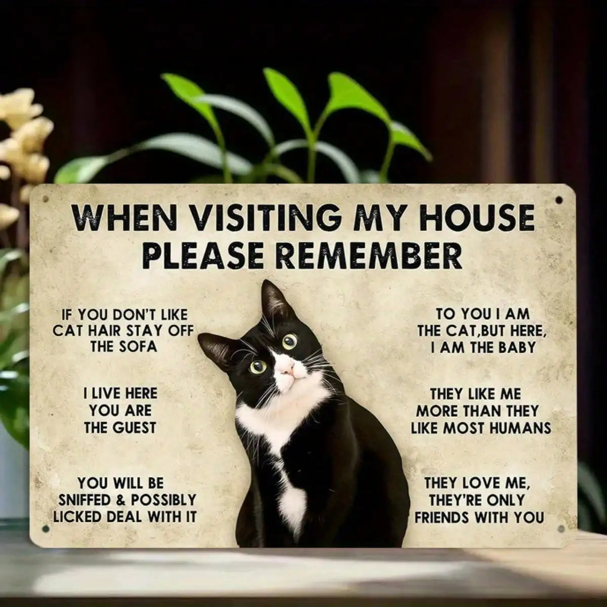 1PC Tin Sign – Funny Pet Theme Home Decor, “When Visiting Remember” Cat Illustration, 8x12 Inches