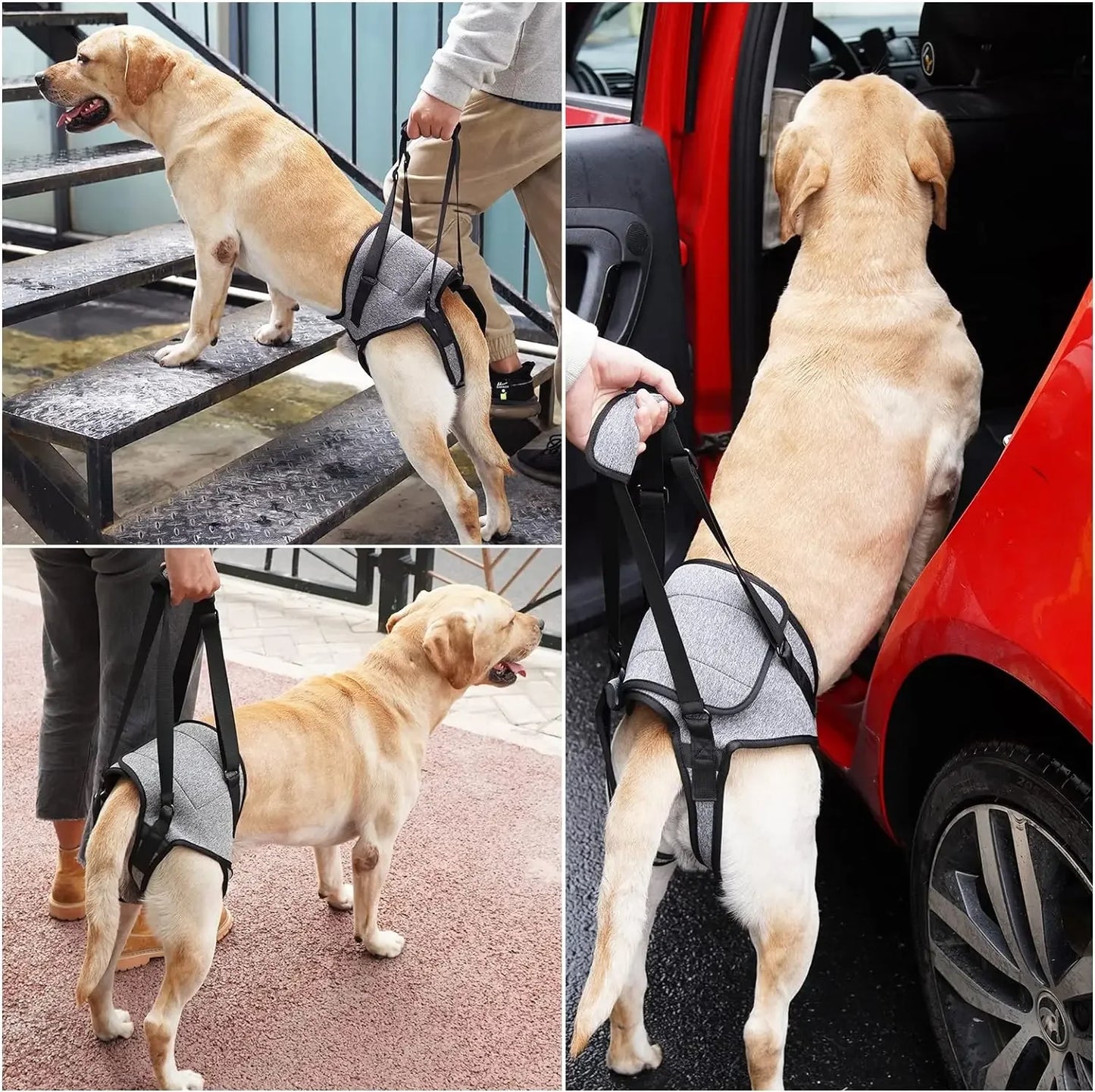 Dog Leg Support Harness – Rehabilitation & Mobility Aid for Injured or Post-Surgery Dogs