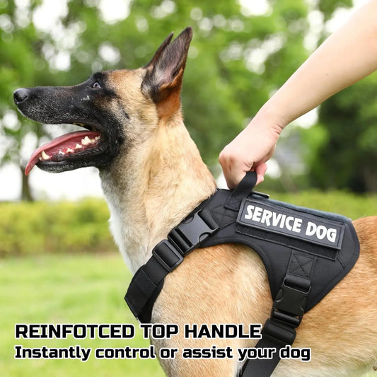Personalized Nylon Reflective Pet Dog Harness – Adjustable Vest for Small, Medium & Large Dogs | Training & Walking Safety Gear