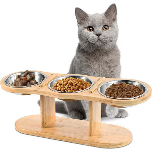 Cat 3-in-1 Feeder with Tilted Stainless Steel Bowls:
