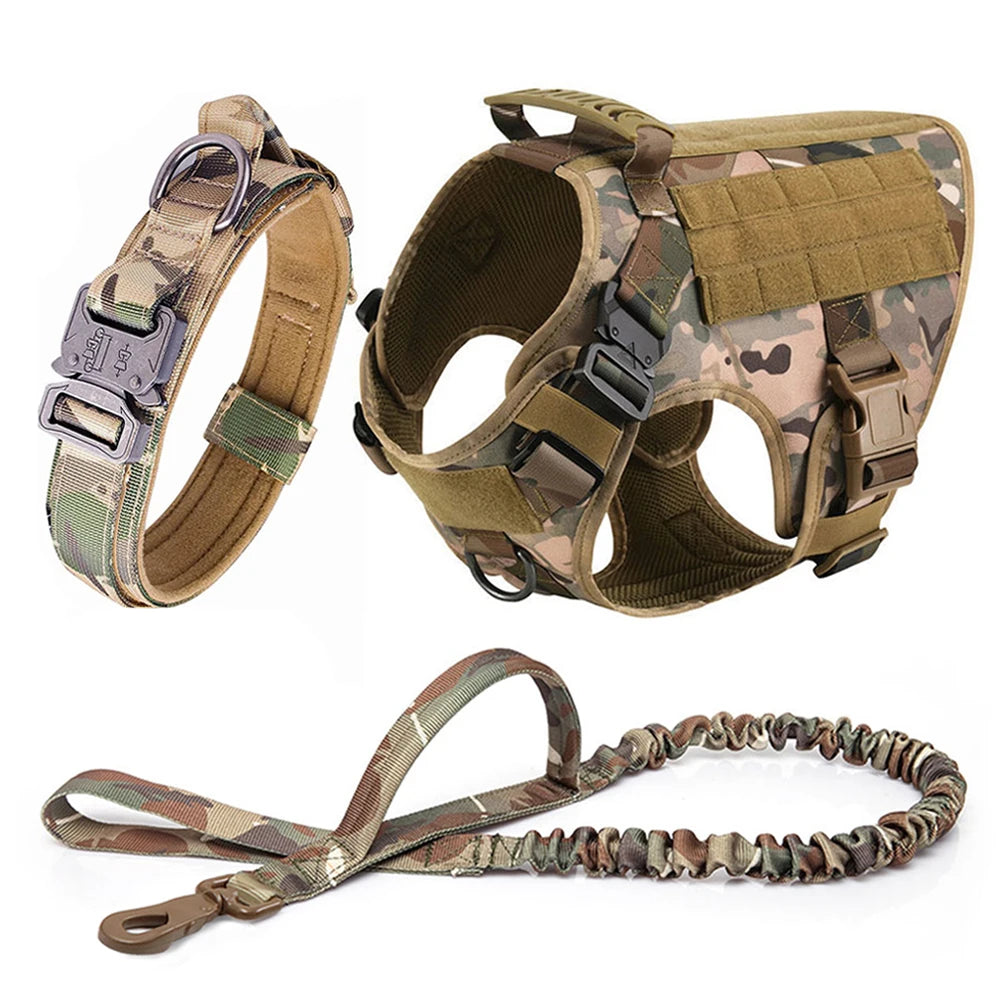 Large Pet Harness And Leash Set