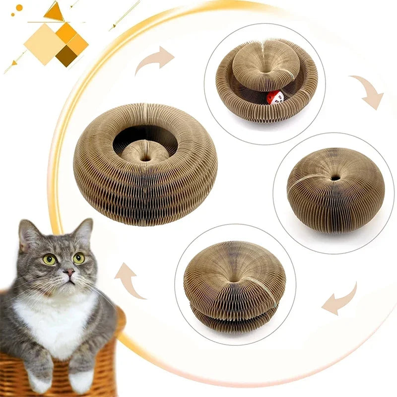Organ cat scratching cat toy with bell