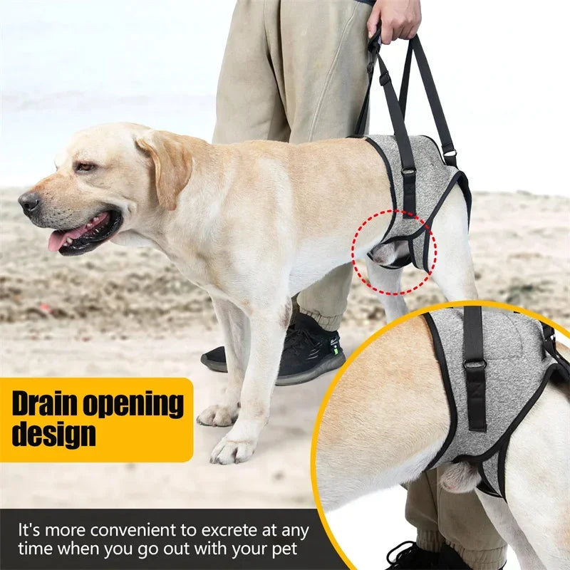Adjustable Dog Lift Harness for Large Dogs – Soft Padded Rear Leg Support for Senior, Disabled, and Injured Dogs