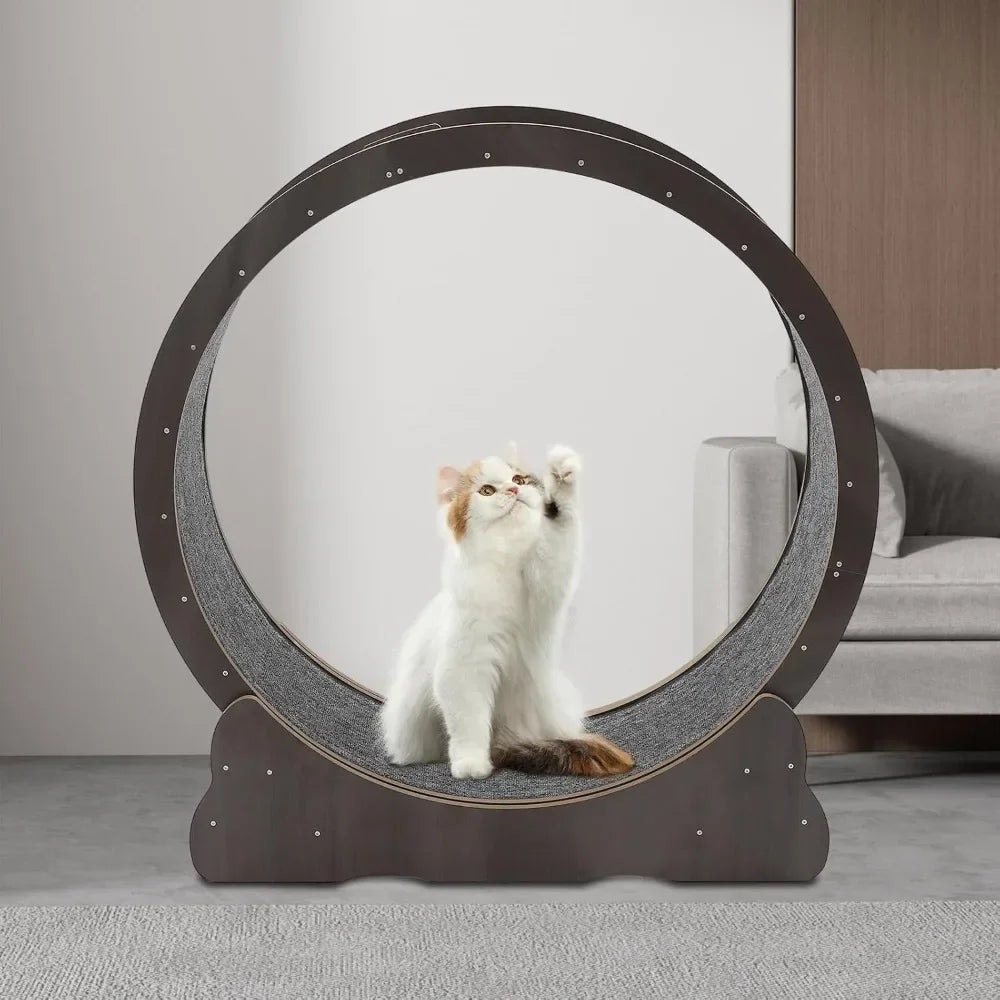 Cat Exercise Treadmill Solid Wood Wheel