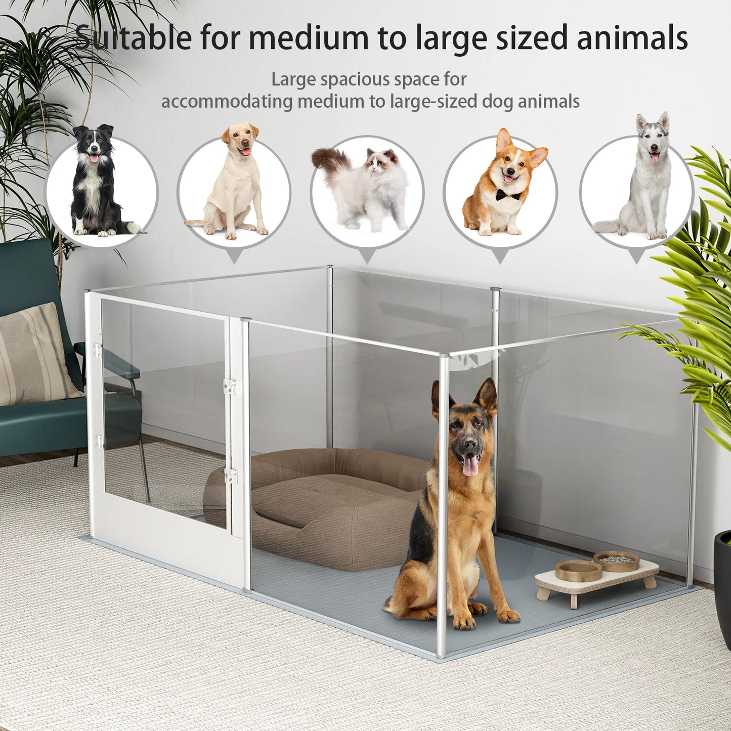 BingoPaw Clear Acrylic Dog Playpen Fence – Transparent Pet Exercise Pen with Waterproof Whelping Pad for Cats, Puppies, and Small Animals